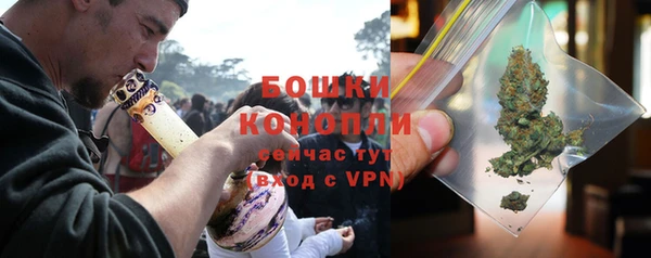 ГАЛЛЮЦИНОГЕННЫЕ ГРИБЫ Беломорск