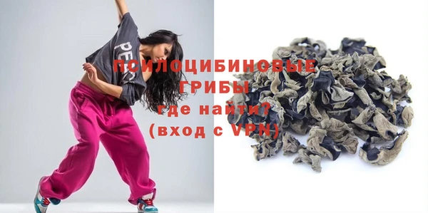 ГАЛЛЮЦИНОГЕННЫЕ ГРИБЫ Беломорск