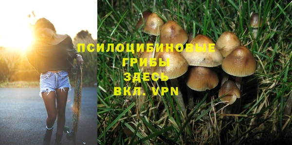 ГАЛЛЮЦИНОГЕННЫЕ ГРИБЫ Беломорск